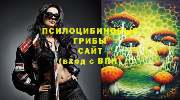 эйфоретик Горнозаводск