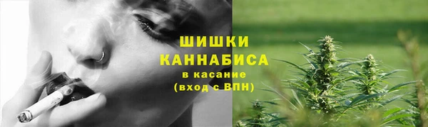 стаф Горно-Алтайск