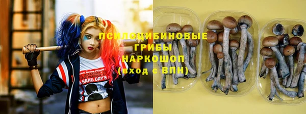 таблы Горняк