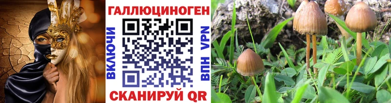 MEGA онион  Пушкино  Псилоцибиновые грибы прущие грибы 